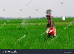Is the FMCG sector reviving, backed by boost in rural demand?
